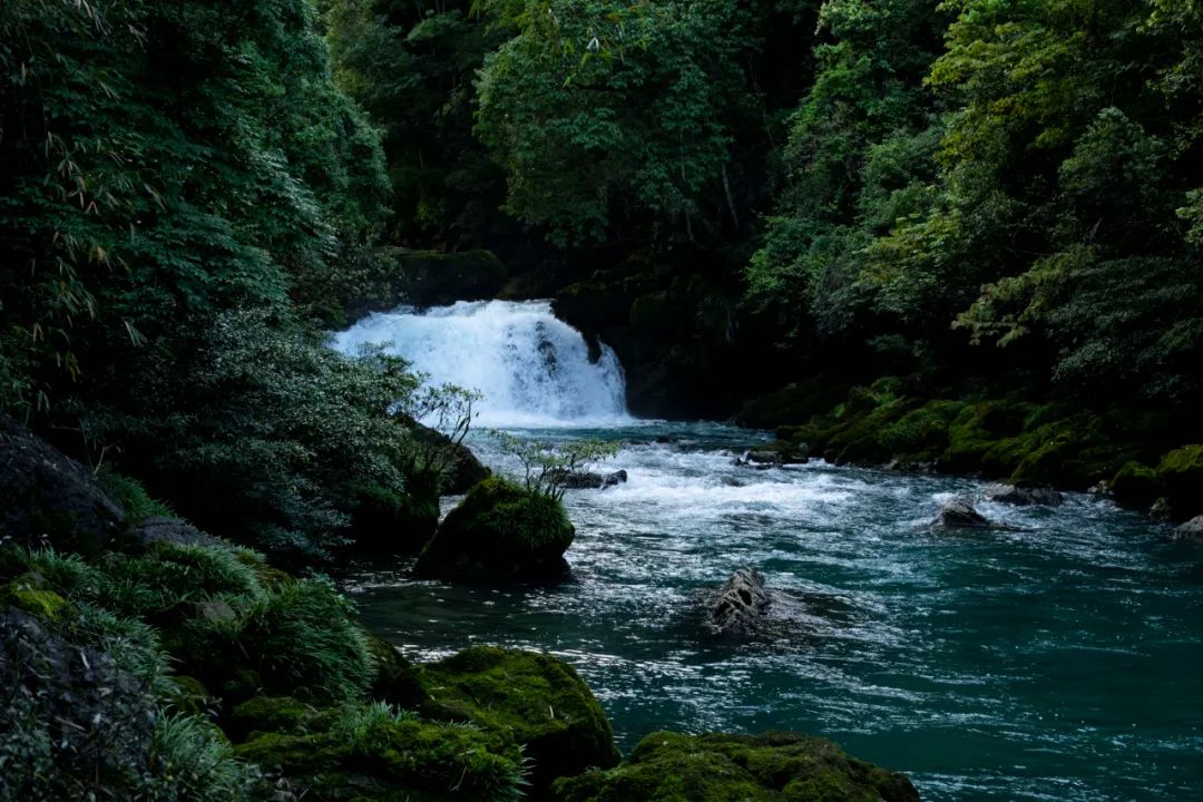 最适郃(he)畢業旅行的(de)9箇(ge)目(mu)的(de)地，好吃又(yòu)不貴