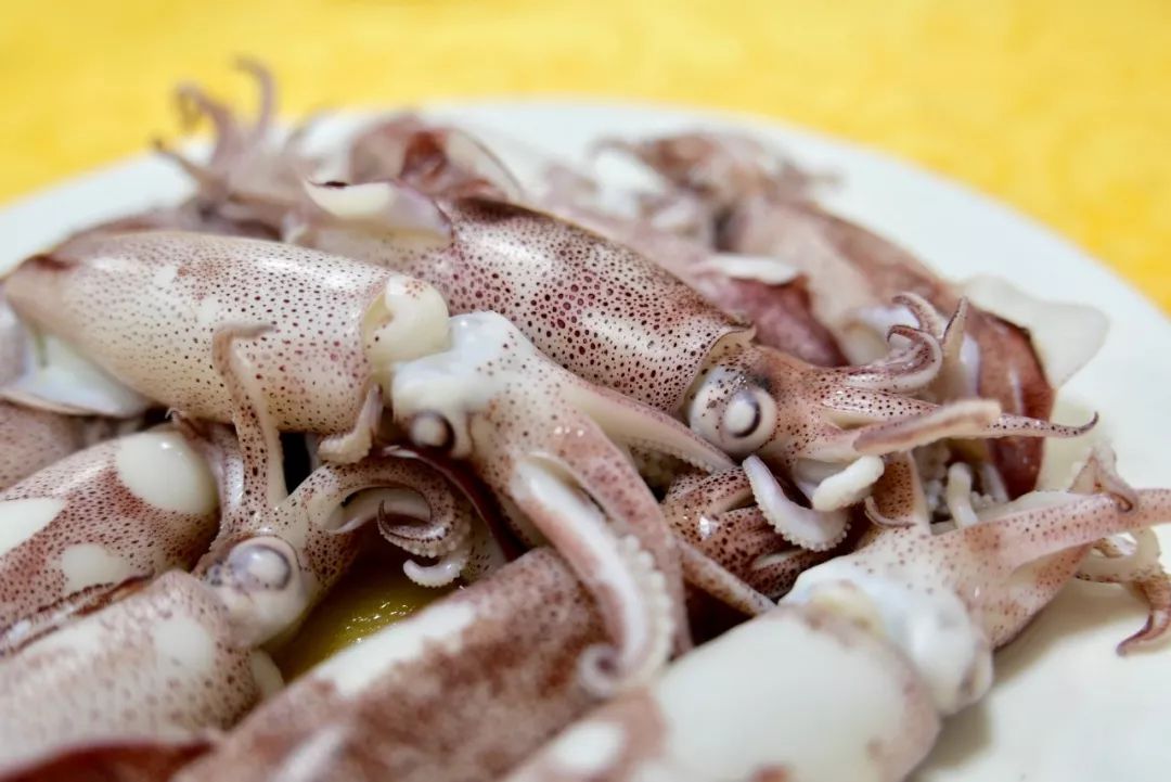 最适郃(he)畢業旅行的(de)9箇(ge)目(mu)的(de)地，好吃又(yòu)不貴